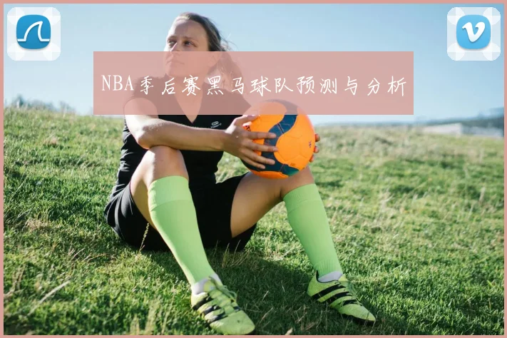 NBA季后赛黑马球队预测与分析
