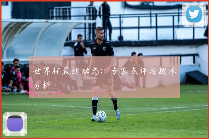 世界杯最新动态：专家点评与战术分析