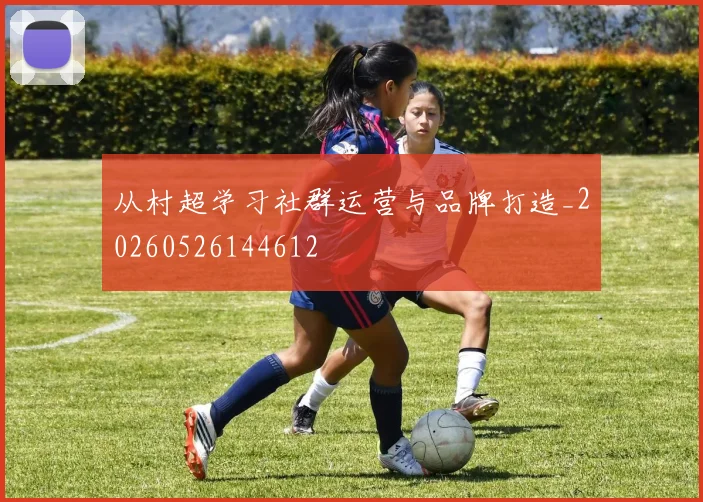 从村超学习社群运营与品牌打造_20260526144612