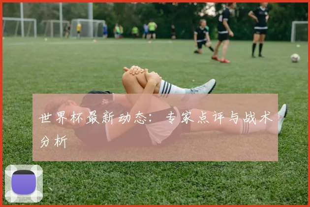 世界杯最新动态：专家点评与战术分析