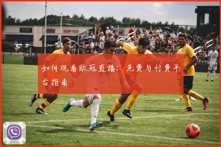 如何观看欧冠直播：免费与付费平台指南